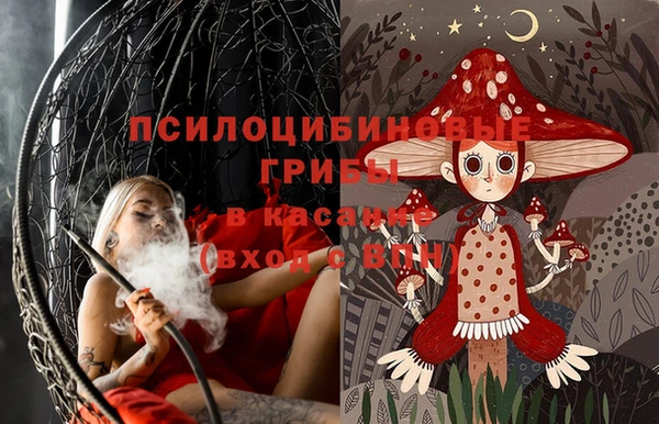 ешки Алексин