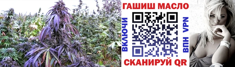 купить закладку  кракен маркетплейс  Дистиллят ТГК Wax  Ардатов 